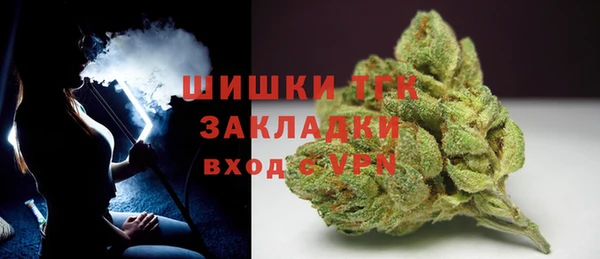 ГАЛЛЮЦИНОГЕННЫЕ ГРИБЫ Карпинск
