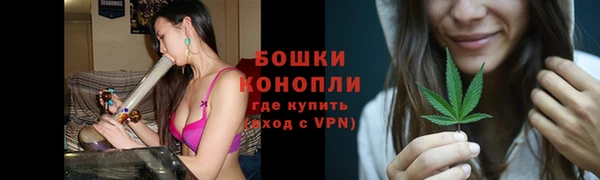 индика Киренск