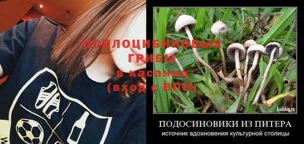 шишки Карталы