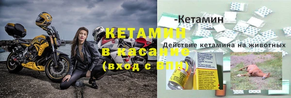 хмурый Шали