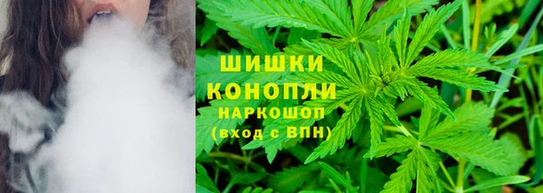индика Киренск