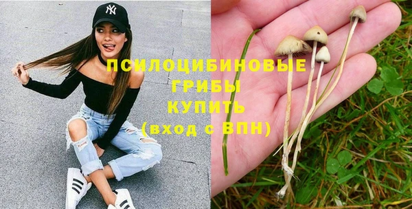 ГАЛЛЮЦИНОГЕННЫЕ ГРИБЫ Кинешма