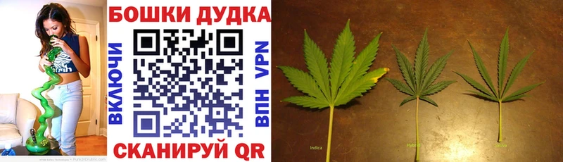 Шишки марихуана Amnesia  Куртамыш 